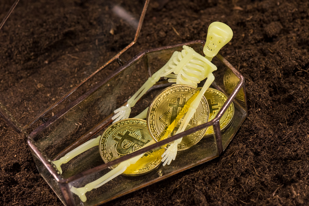 Skeleton