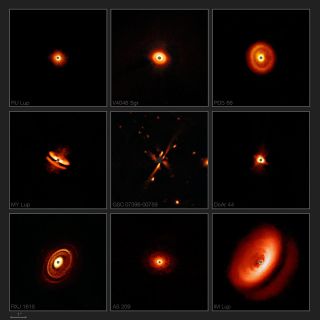 A collection of dusty disks around young stars imaged by the Very Large Telescope's SPHERE instrument.