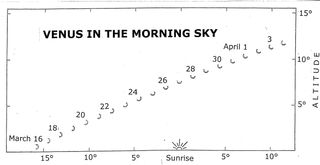 Diagram showing Venus' morning visibility over the next few weeks for an observer at 40 degrees north latitude.