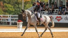 Maryland 5 Star dressage: Oliver Townend and Cooley Rosalent