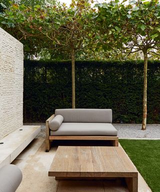 An example of small backyard ideas showing a modern patio area with seating, a wooden table and a row of pleached trees behind