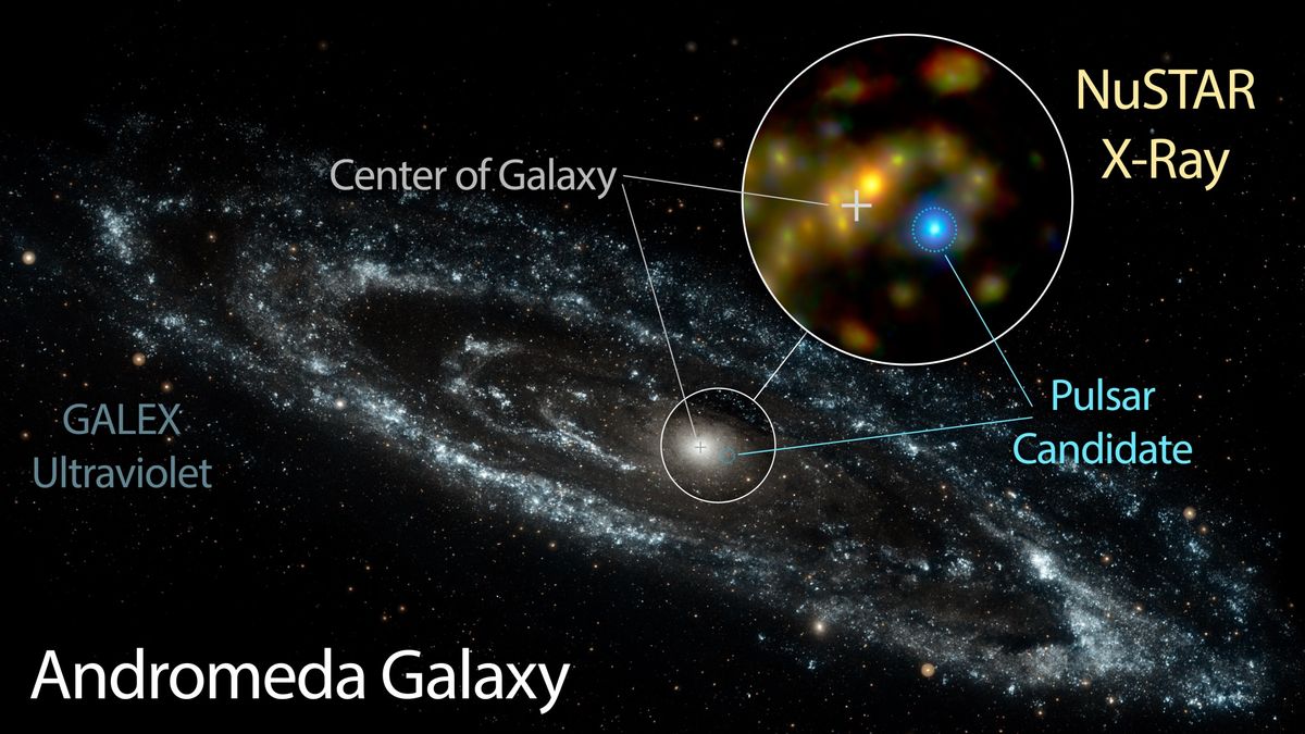 Neighbor Galaxy Has a Secret: Andromeda Hosts Massive Pulsar | Space