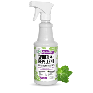 Amazon spider repellent spray