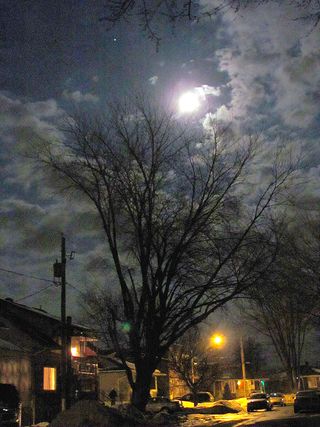 The Moon and Mars with Tree in L'Assomption, Québec, Canada