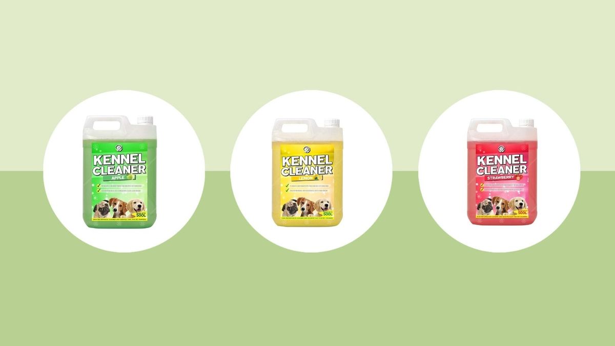 Dog owner? This petfriendly patio cleaner banishes odours in seconds