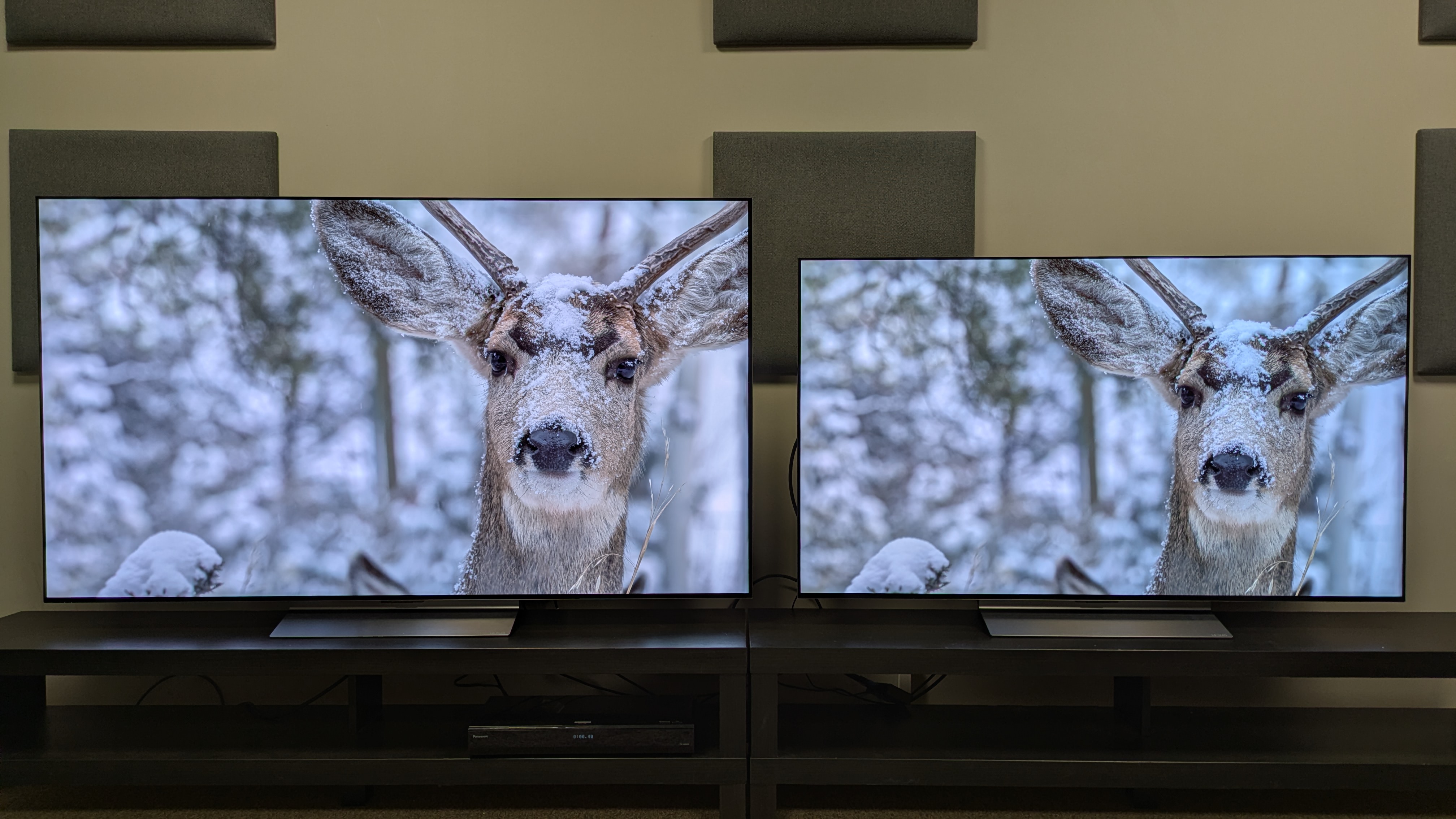 LG C6 (left) and LG C5 (right) OLED TVs showing a deer covered in snow. Whites appear brighter on the C6, but both TVs show excellent textures and detail