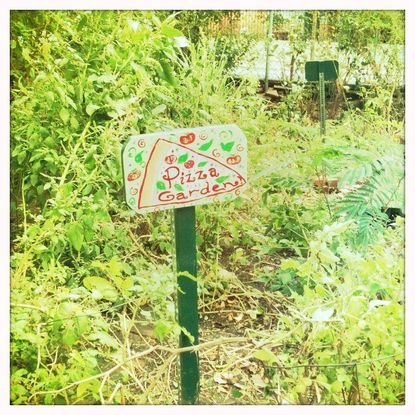Green Garden With A Pizza Garde Sign
