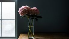 how to take care of hydrangeas in a vase