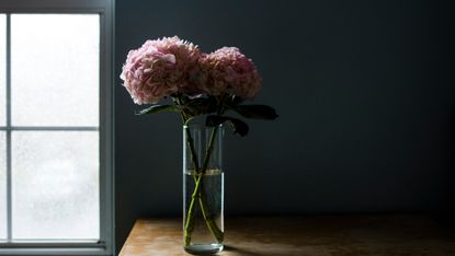 how to take care of hydrangeas in a vase