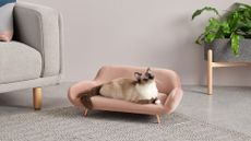 Moby Pet Sofa in pink, in living room with cat sitting on – pet buys for stylish homes