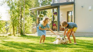 Kids and dog playing on a lush green lawn