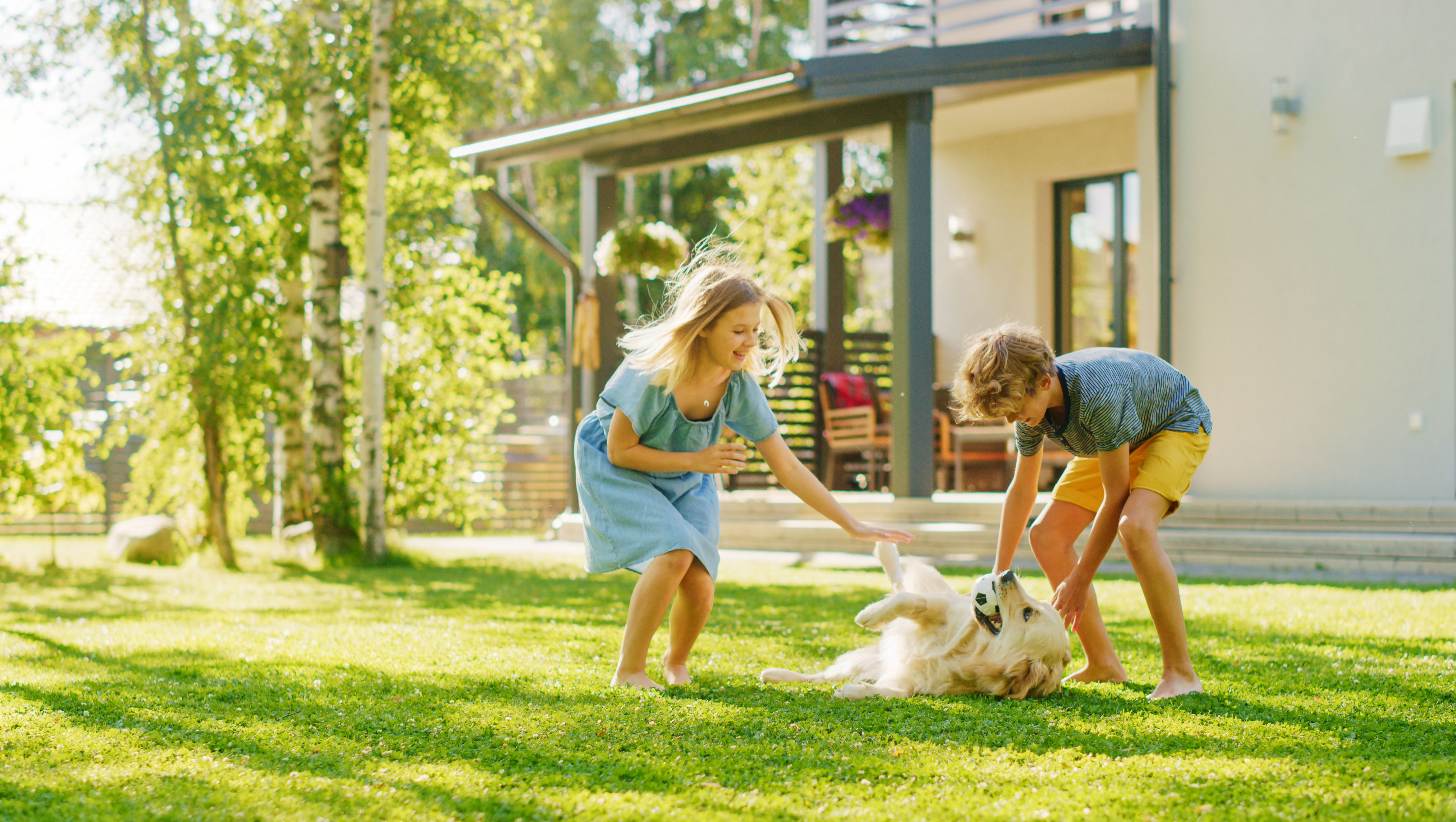 Дети и собака играют на пышной зеленой лужайке