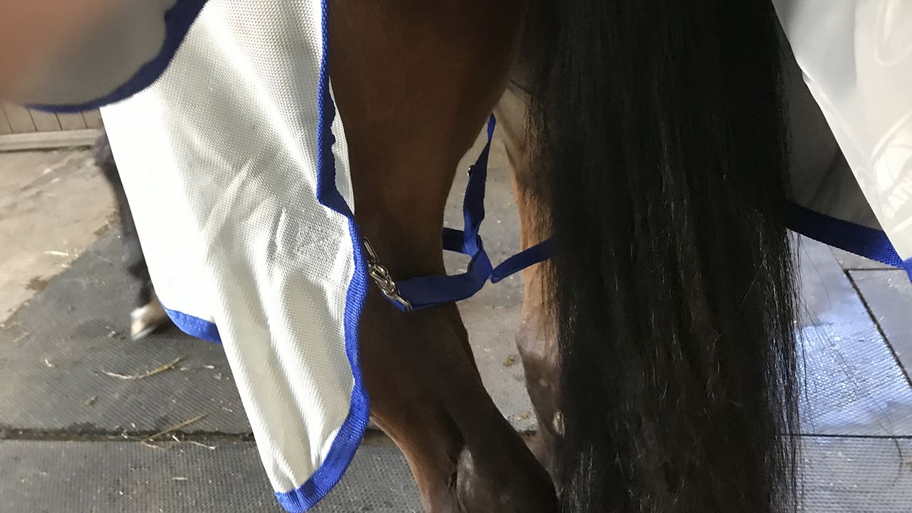 Weatherbeeta ComFiTec 600D/Mesh II Combo Neck fly rug