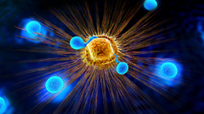Lymphocytes attacking cancer cell, illustration.
