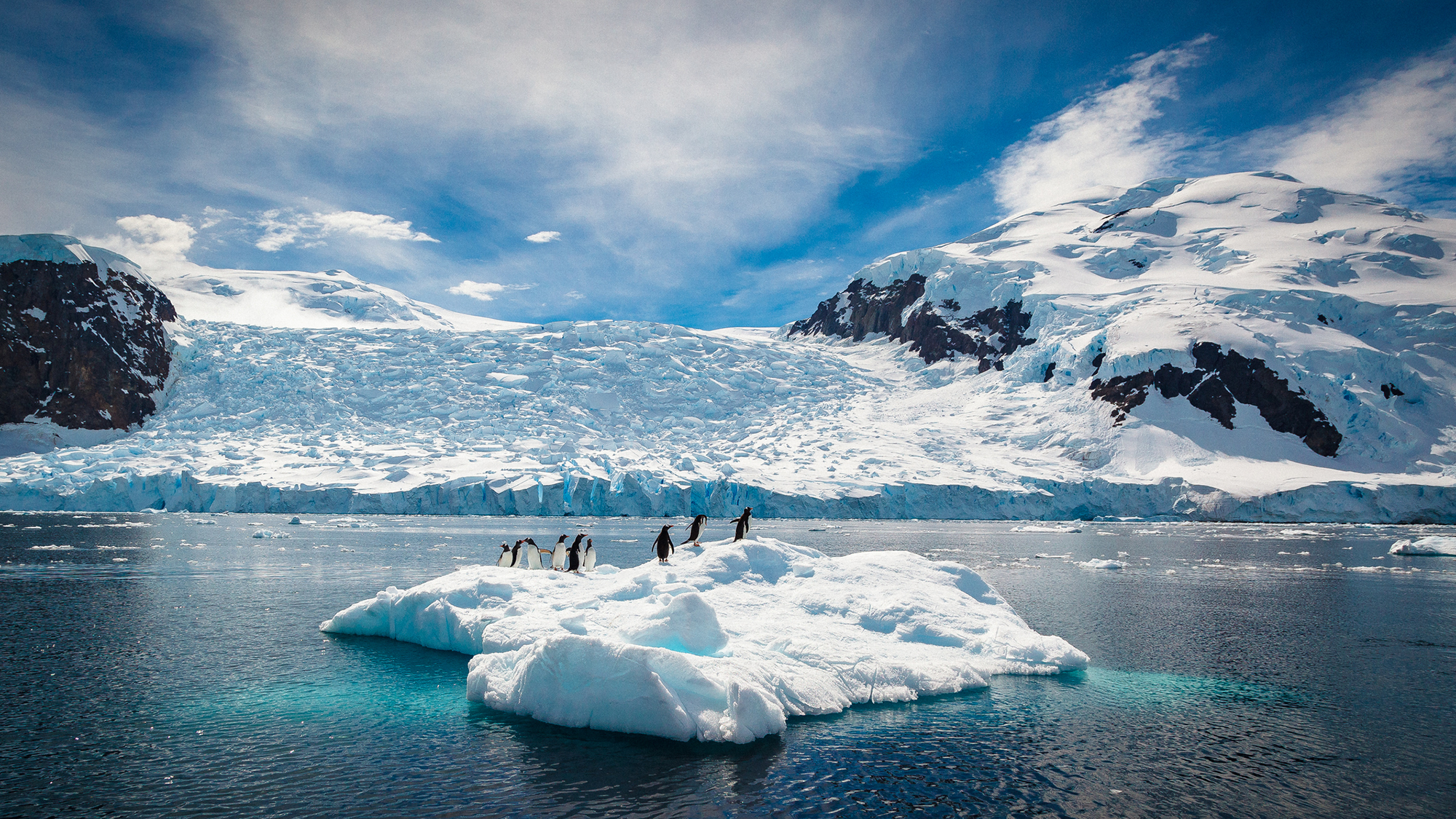 A group of small penguins sits on a floating ice island next to a large glacier