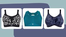 A selection of the best sports bras from Panache, Sweaty Betty, and Elomi