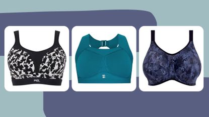 A selection of the best sports bras from Panache, Sweaty Betty, and Elomi