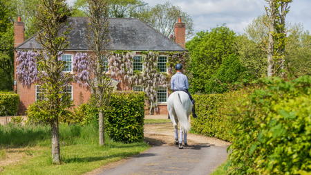 A rider on a grey horse rides along a concrete drive that winds towards a wisteria-covered Georgian home