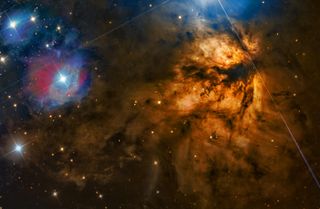 astronomy photographer of the year ngc 2024 flame nebula