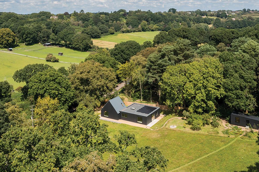 Furze Hill, New Forest, Hampshire