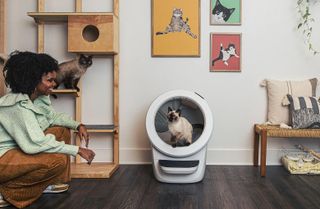 5 smart home ideas to help you take better care of your pet