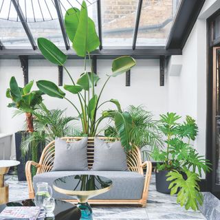 Glass roofed extension to a house with large green plants, tiles floor and wicker sofa