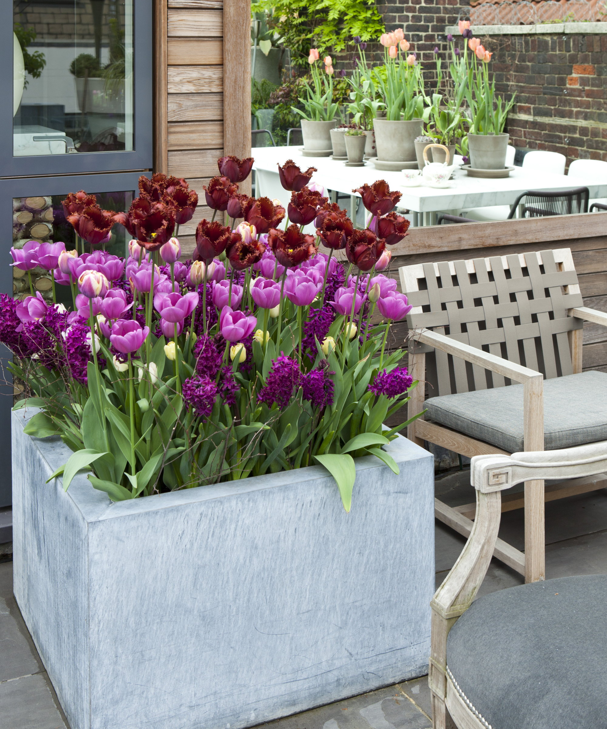 A large concrete planter filled with flowering tulips