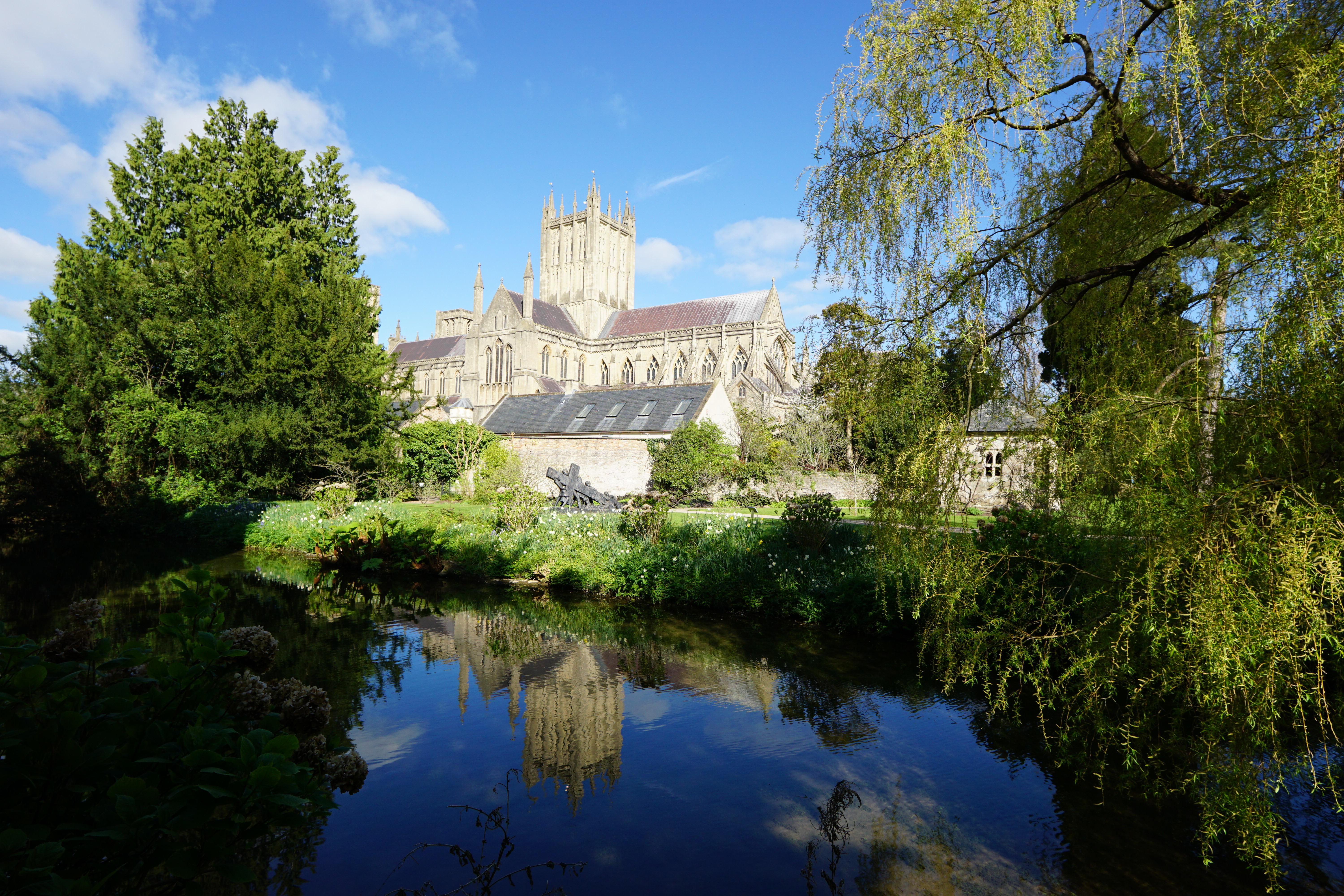 Sigma 12mm f/1.4 DC | C example shot