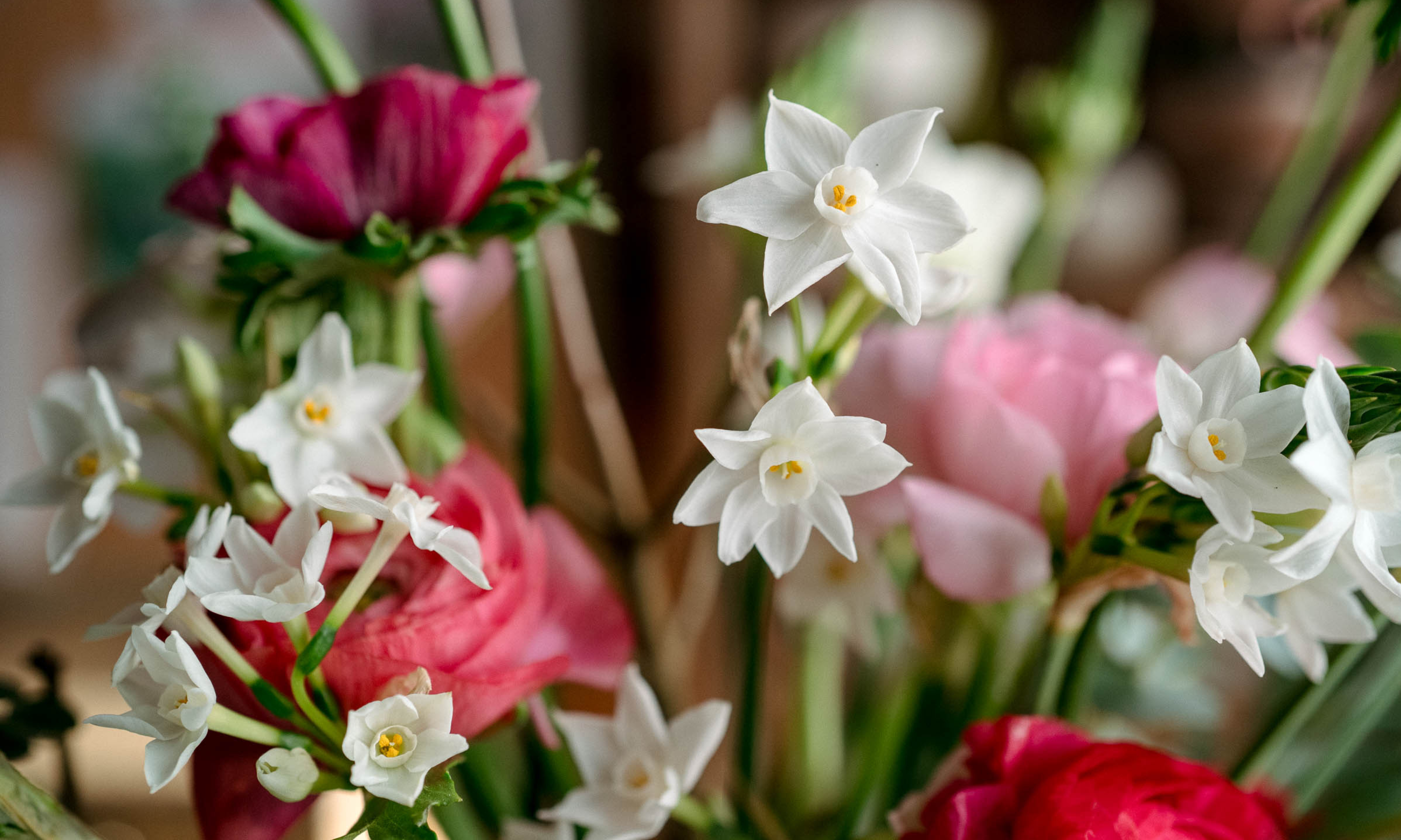 Close up of white narcissi and pink ranunculus in an arrangement