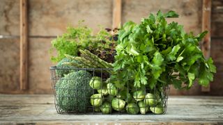 leafy green vegetables high in vitamin k