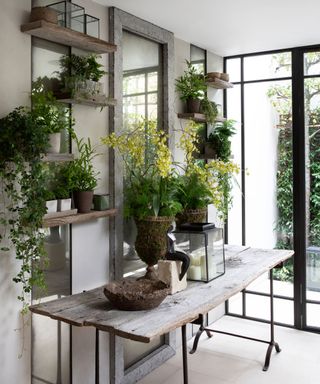 Basement garden room, with a reclaimed wood table and houseplants, mirrors and glass garden doors.