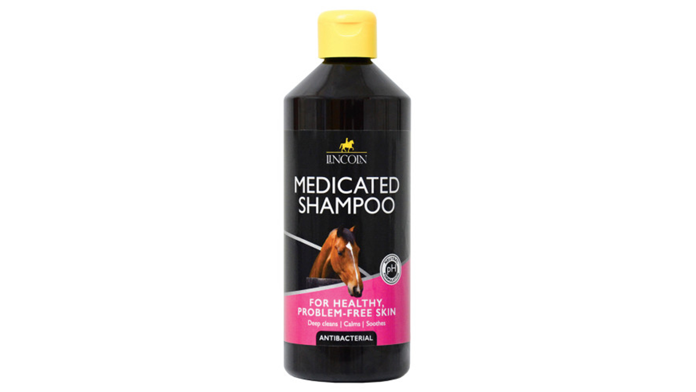 Lincoln Medicated Shampoo for horses
