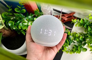 How do you setup the hot sale echo dot