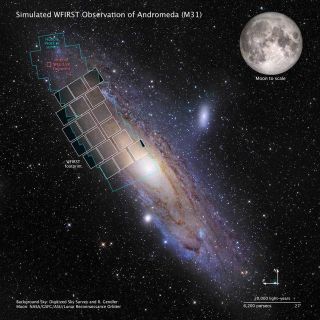 A simulation of a WFIRST observation of the Andromeda galaxy, or M31. NASA's Hubble Space Telescope spent more than 650 hours imaging the areas outlined in blue. WFIRST will be able to image the entire galaxy in only 3 hours.