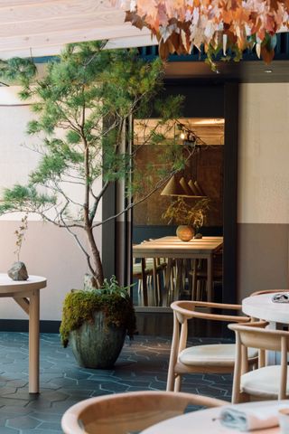 Noma Kyoto