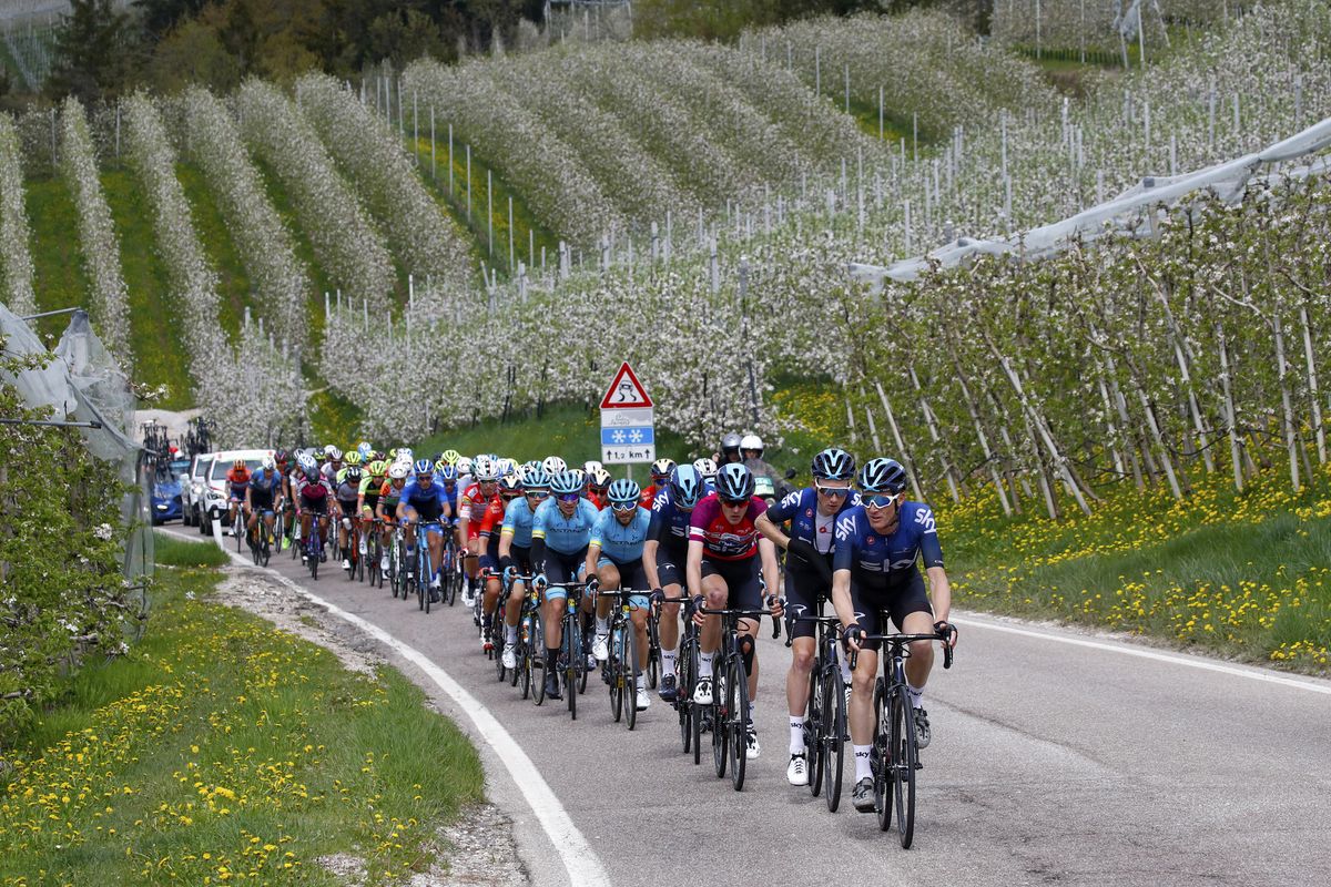 The peloton