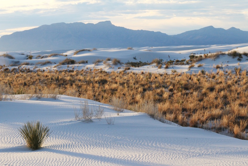 Photos: White Sands National Monument | Live Science