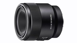 Best lenses for the Sony A6700: Sony FE 50mm f/2.8 Macro