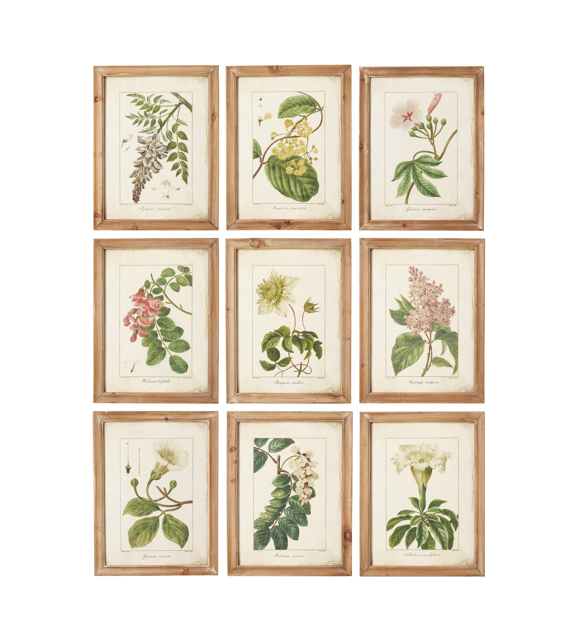 Summer Garden Framed Prints - Set of Nine - Brown