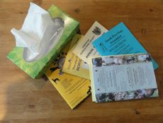 schedules-and-tissues-e1436872607133.jpg