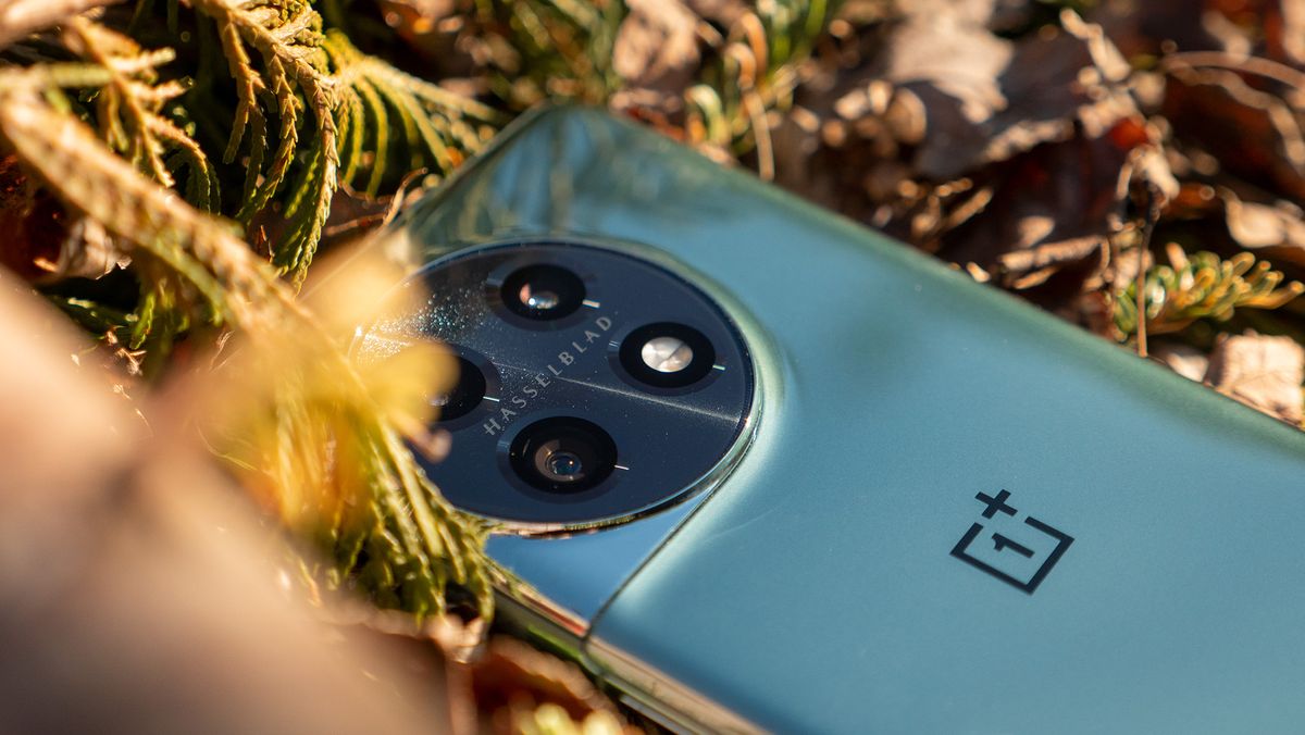 The circular camera island on the OnePlus 11 Arbor Green colorway