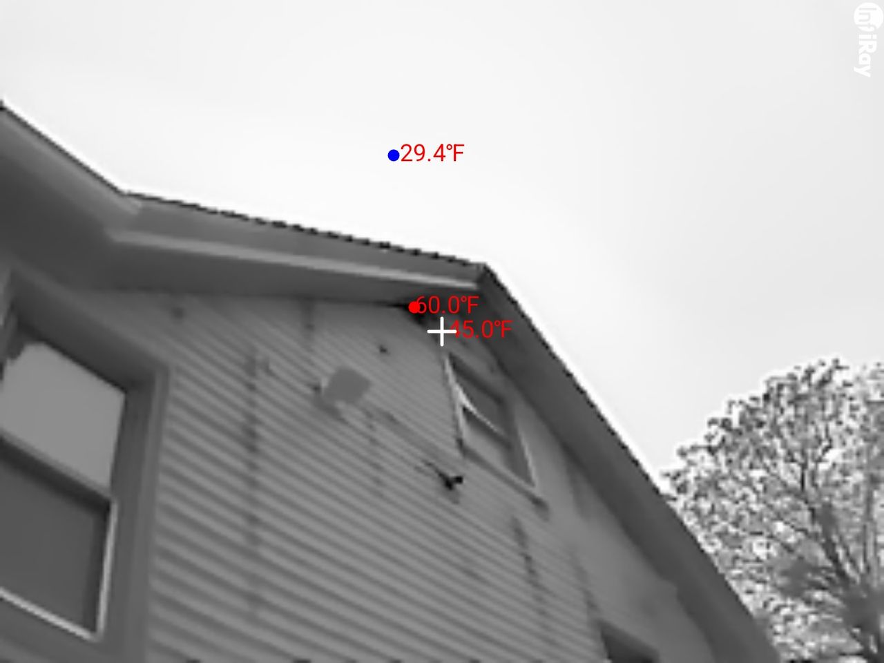 Thermal Master P2 camera sample.