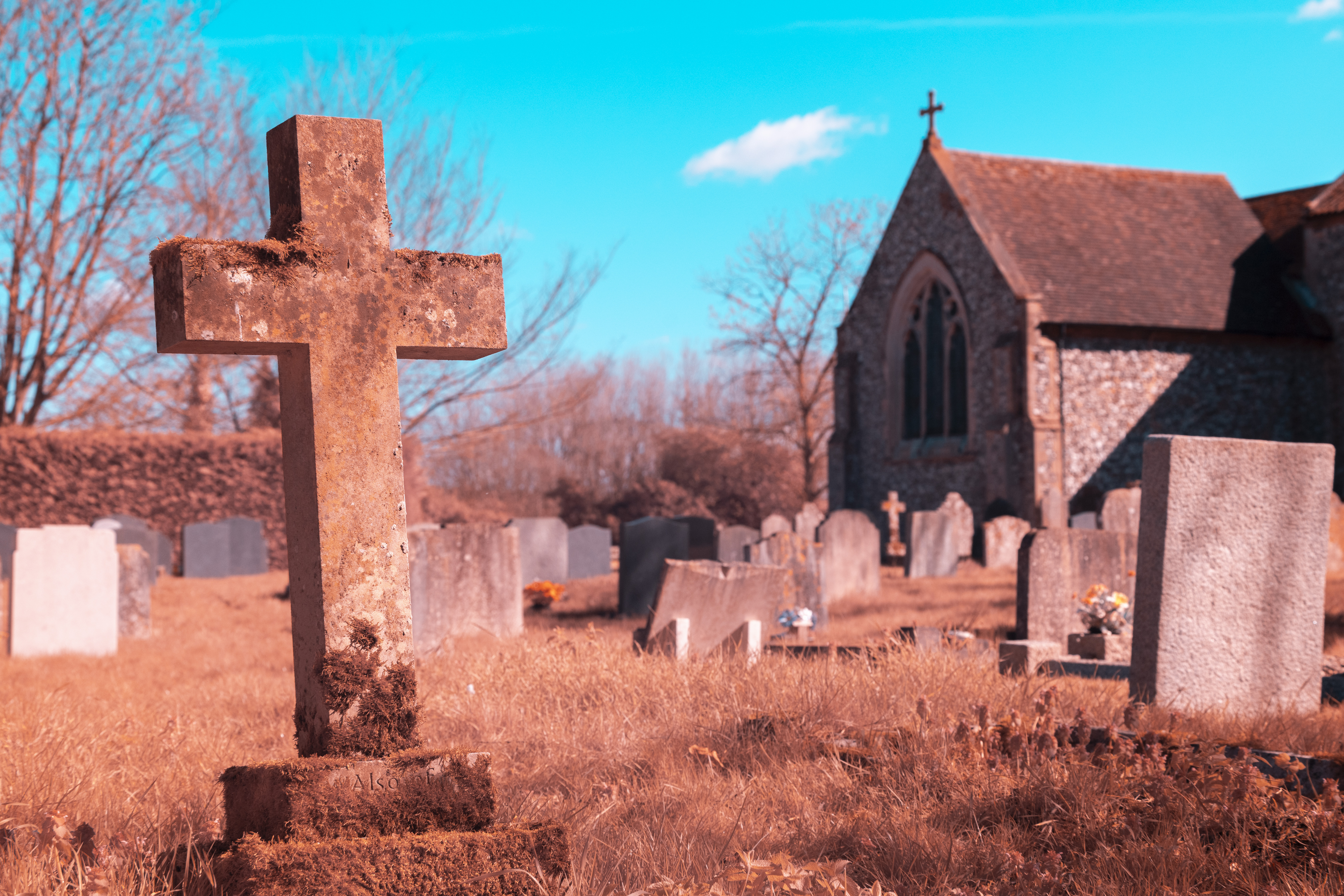 Fotga Variable IR Filter Test Shots