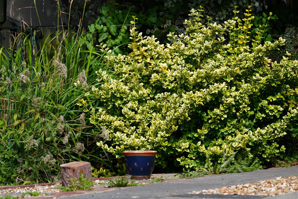 Sony FE 400mm f/4.5 GM OSS sample image
