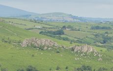 Dartmoor-1-.jpg