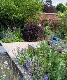 Chatsworth Flower Show winners