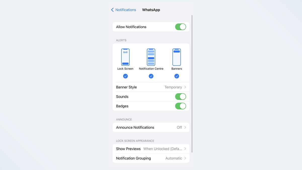 Whatsapp notifications. Whatsapp notifications