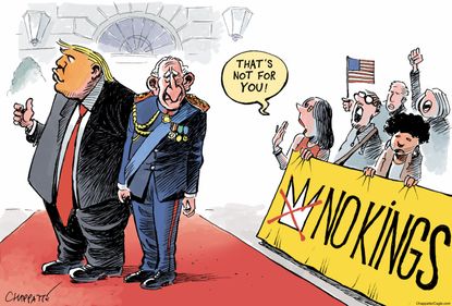 Political Cartoon