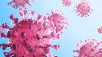 An illustration of a coronavirus