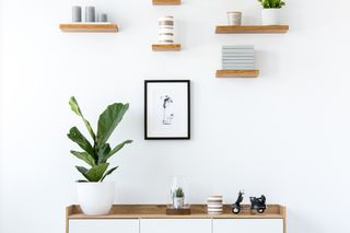 Wooden shelves on a minimal white wall with a plant.